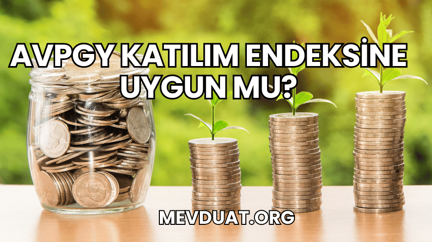 AVPGY Katılım Endeksine Uygun mu?