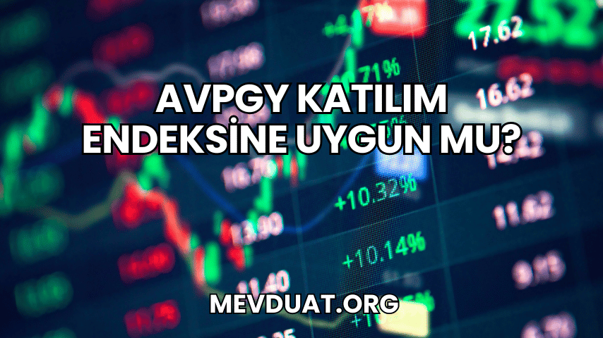 AVPGY Katılım Endeksine Uygun mu?