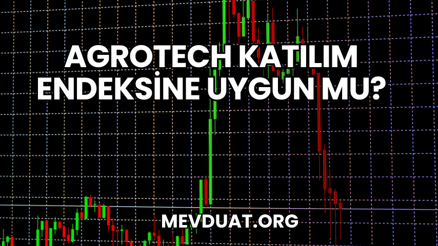 Agrotech Katılım Endeksine Uygun mu?