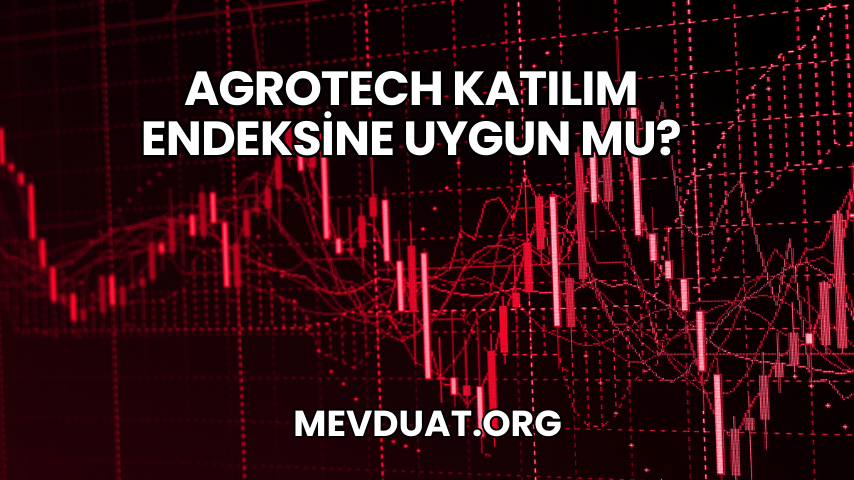 Agrotech Katılım Endeksine Uygun mu?