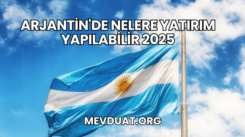 Arjantin'de Nelere Yatırım Yapılabilir 2025