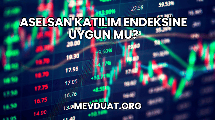 Aselsan Katılım Endeksine Uygun mu?