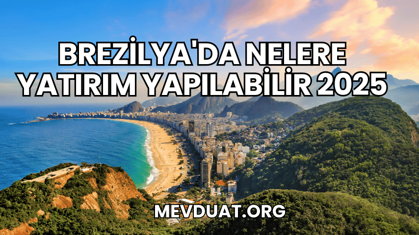 Brezilya'da Nelere Yatırım Yapılabilir 2025