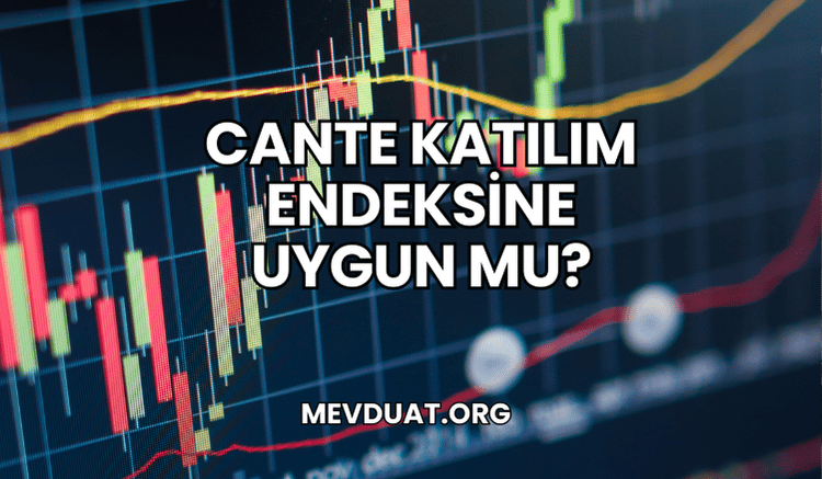 CANTE Katılım Endeksine Uygun mu?