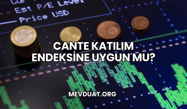 CANTE Katılım Endeksine Uygun mu?