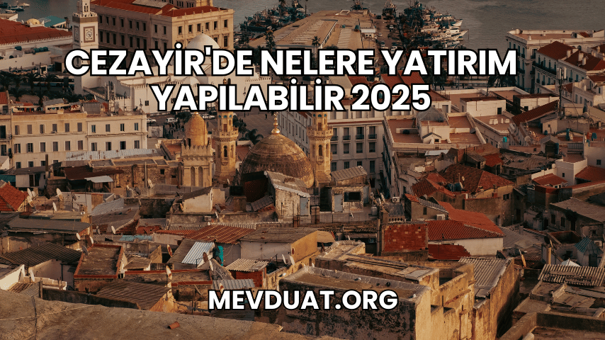 Cezayir'de Nelere Yatırım Yapılabilir 2025