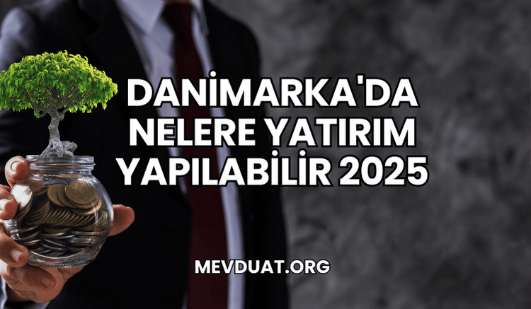 Danimarka'da Nelere Yatırım Yapılabilir 2025