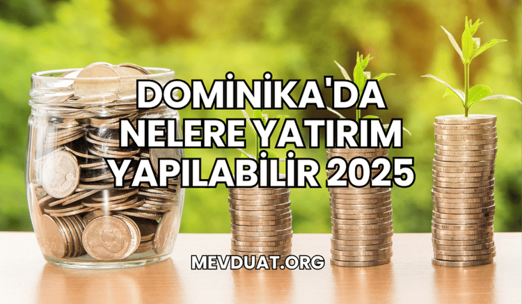 Dominika'da Nelere Yatırım Yapılabilir 2025