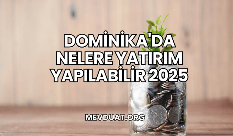 Dominika'da Nelere Yatırım Yapılabilir 2025