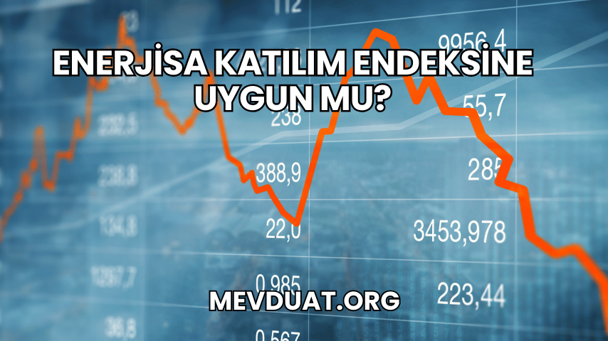 Enerjisa Katılım Endeksine Uygun mu?