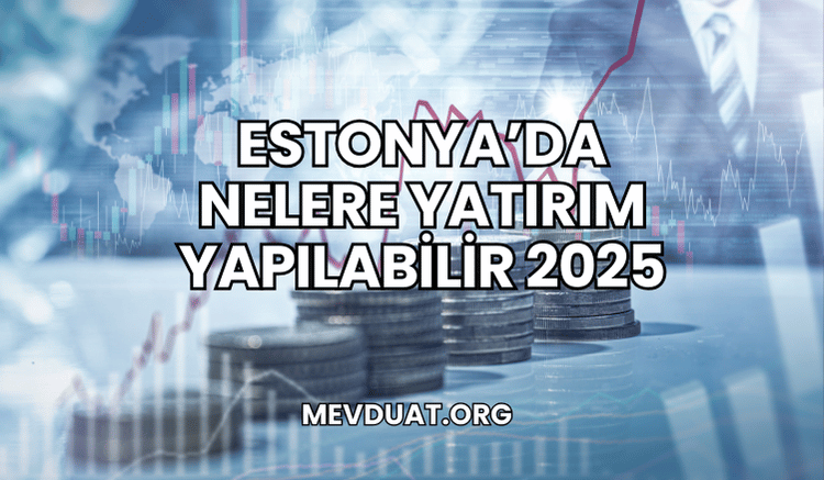 Estonya'da Nelere Yatırım Yapılabilir 2025