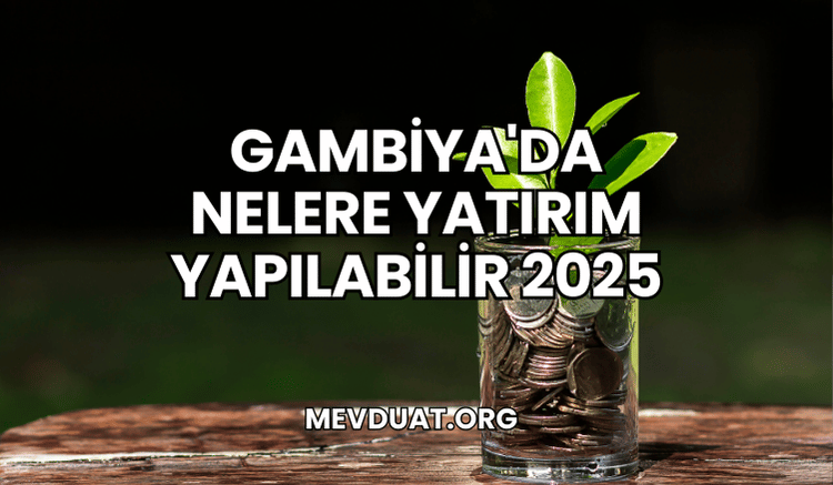 Gambiya'da Nelere Yatırım Yapılabilir 2025