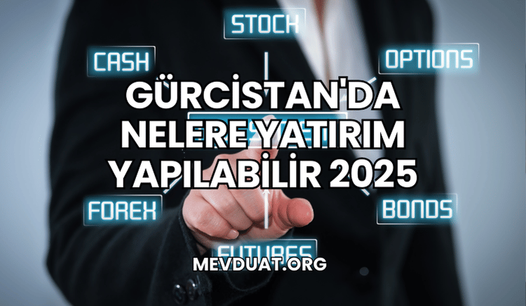 Gürcistan'da Nelere Yatırım Yapılabilir 2025