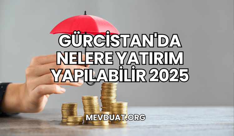 Gürcistan'da Nelere Yatırım Yapılabilir 2025