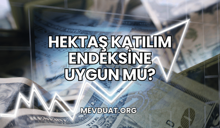 Hektaş Katılım Endeksine Uygun mu?