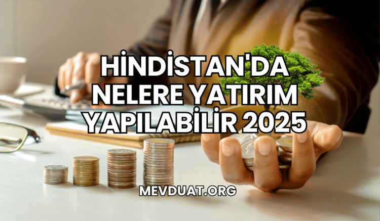 Hindistan'da Nelere Yatırım Yapılabilir 2025