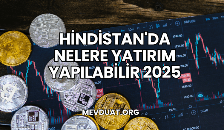 Hindistan'da Nelere Yatırım Yapılabilir 2025