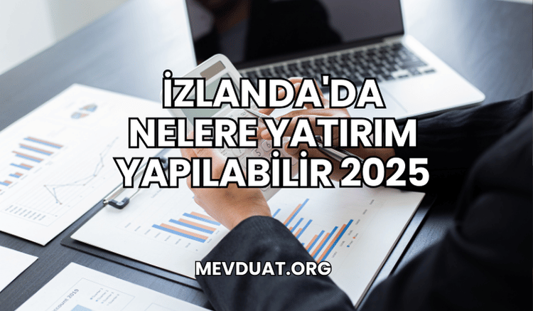 İzlanda'da Nelere Yatırım Yapılabilir 2025