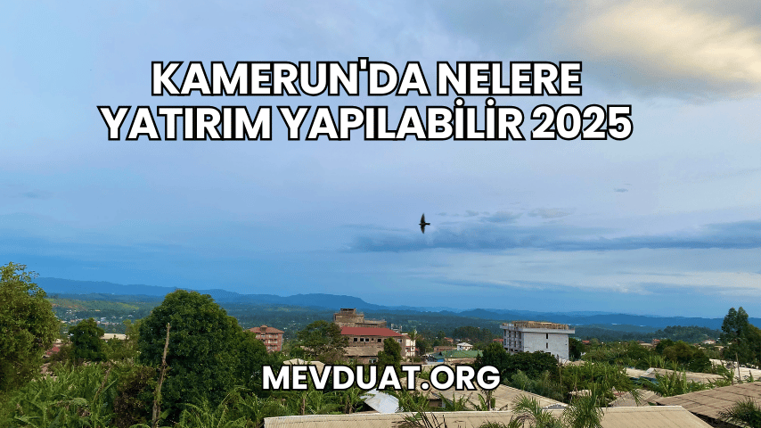 Kamerun'da Nelere Yatırım Yapılabilir 2025