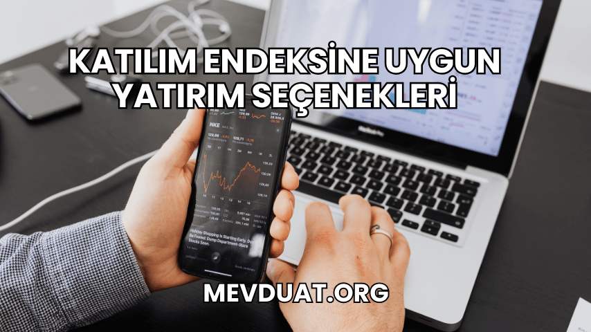 Katılım Endeksine Uygun Yatırım Seçenekleri