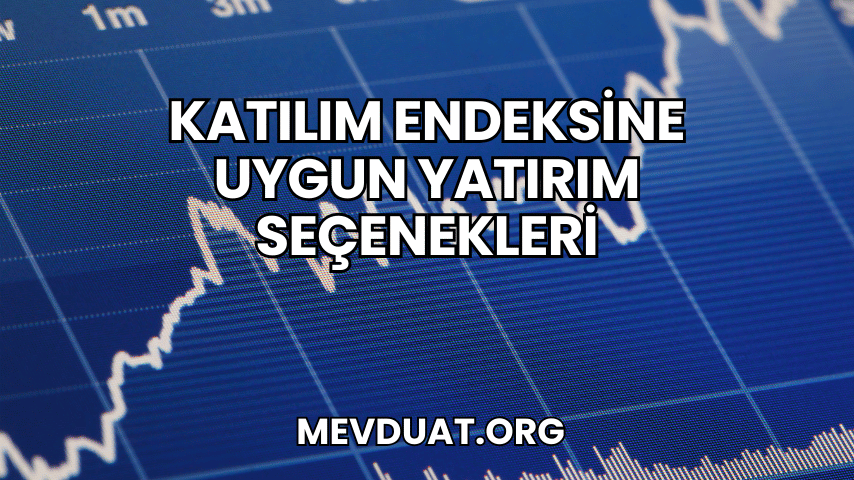 Katılım Endeksine Uygun Yatırım Seçenekleri