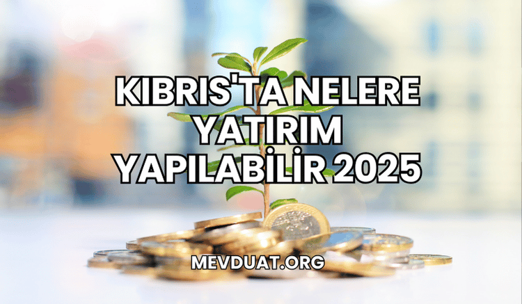 Kıbrıs'ta Nelere Yatırım Yapılabilir 2025