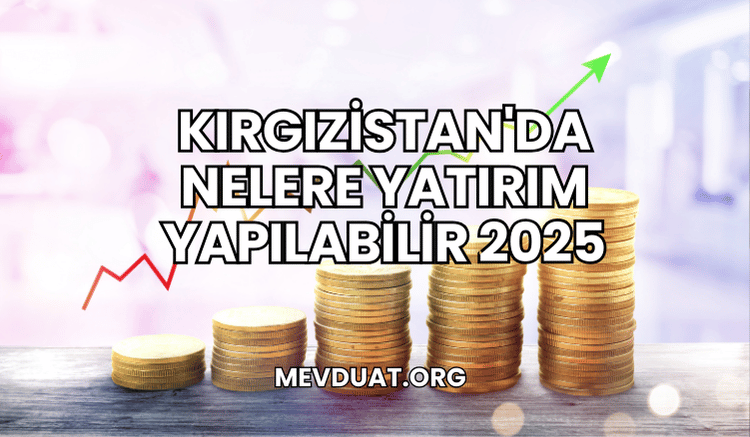 Kırgızistan'da Nelere Yatırım Yapılabilir 2025