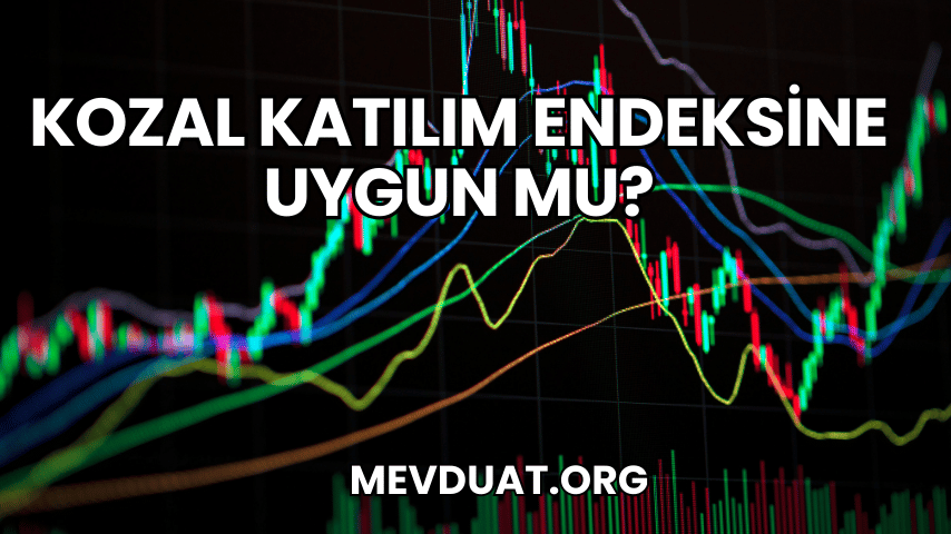 Kozal Katılım Endeksine Uygun mu?