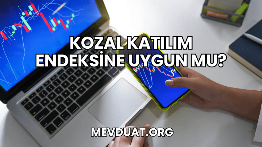 Kozal Katılım Endeksine Uygun mu?