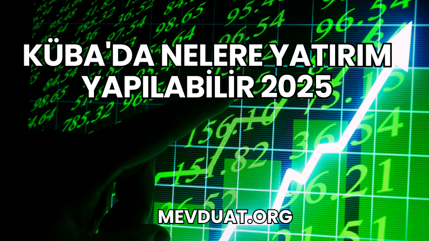 Küba'da Nelere Yatırım Yapılabilir 2025