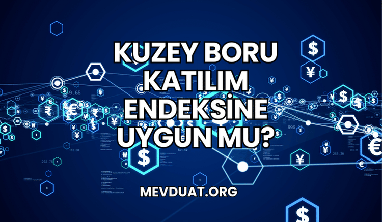 Kuzey Boru Katılım Endeksine Uygun mu?