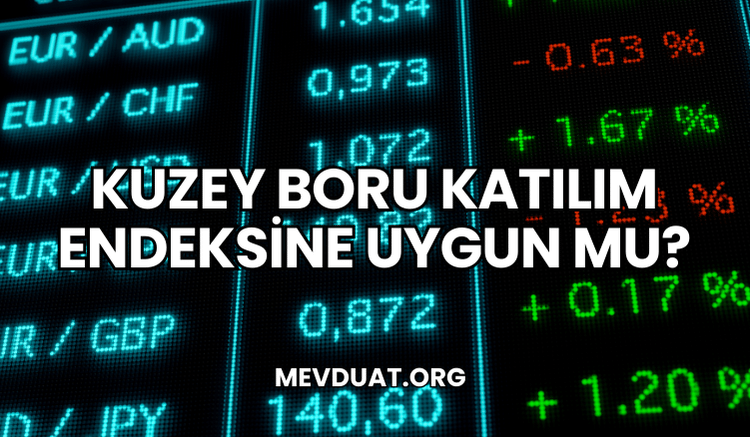 Kuzey Boru Katılım Endeksine Uygun mu?