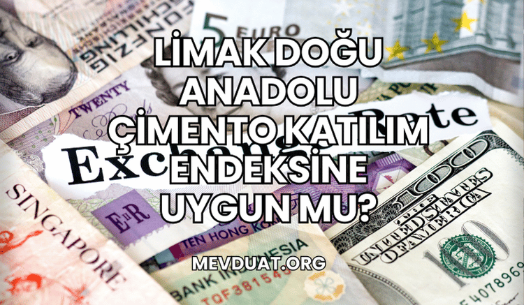 Limak Doğu Anadolu Çimento Katılım Endeksine Uygun mu?