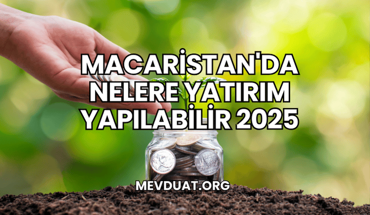 Macaristan'da Nelere Yatırım Yapılabilir 2025