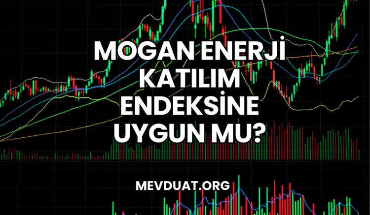 Mogan Enerji Katılım Endeksine Uygun mu?