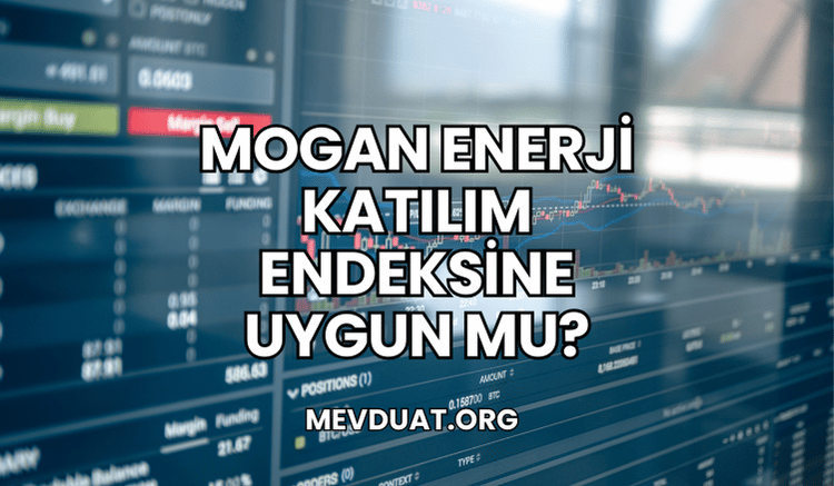 Mogan Enerji Katılım Endeksine Uygun mu?