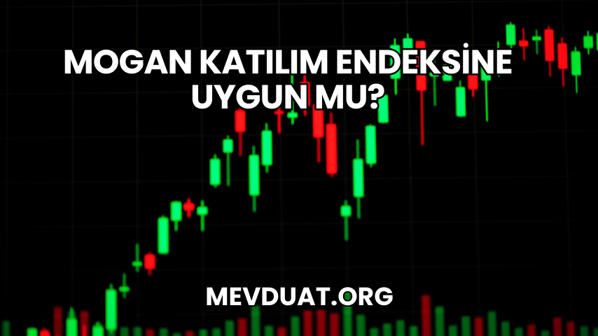 Mogan Katılım Endeksine Uygun mu?