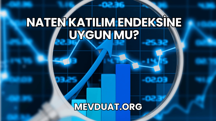 Naten Katılım Endeksine Uygun mu?