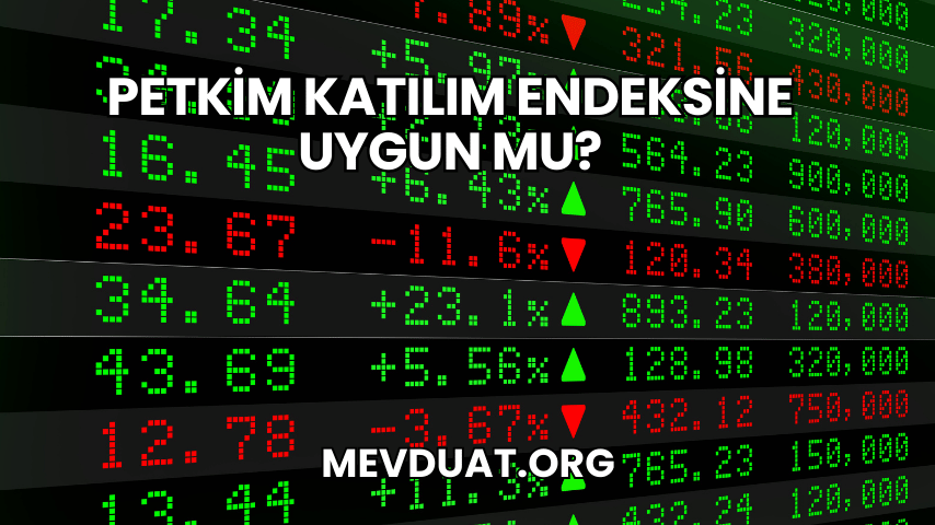 Petkim Katılım Endeksine Uygun mu?