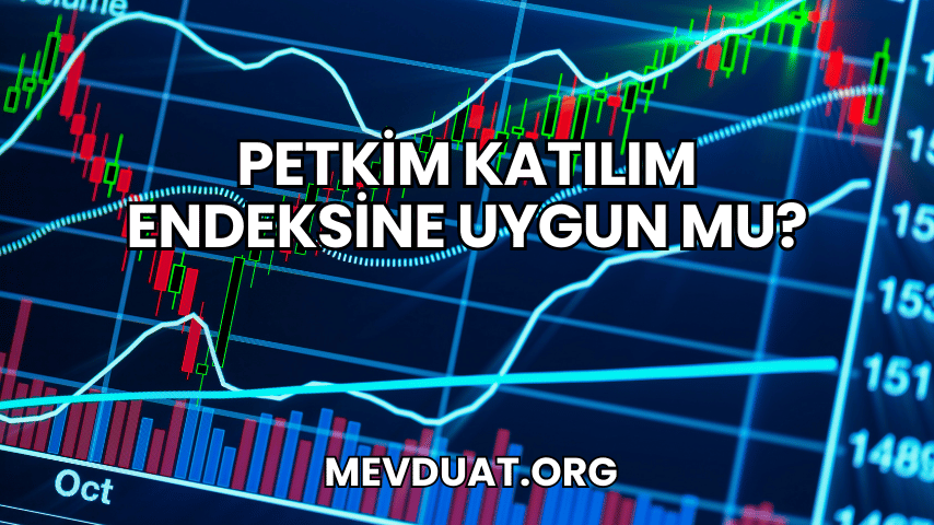 Petkim Katılım Endeksine Uygun mu?