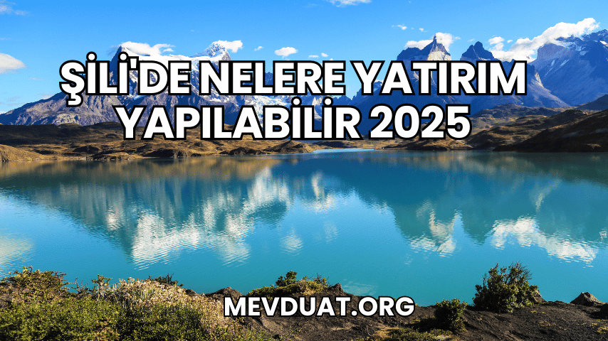 Şili'de Nelere Yatırım Yapılabilir 2025