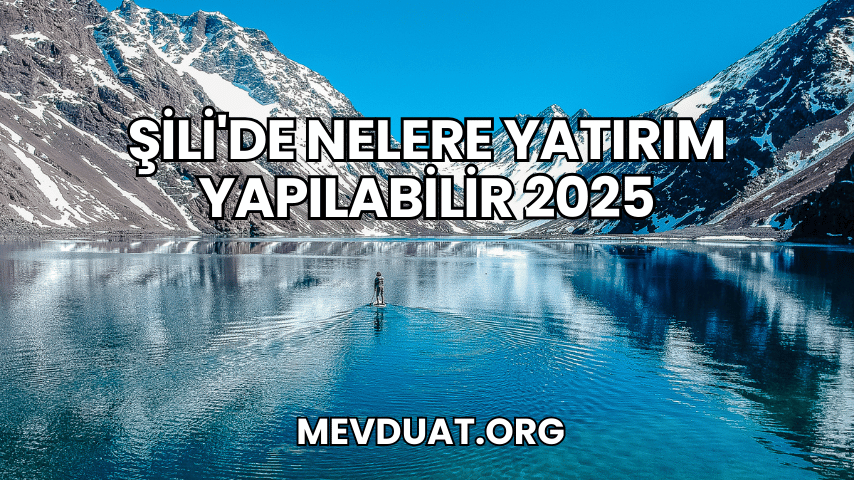 Şili'de Nelere Yatırım Yapılabilir 2025