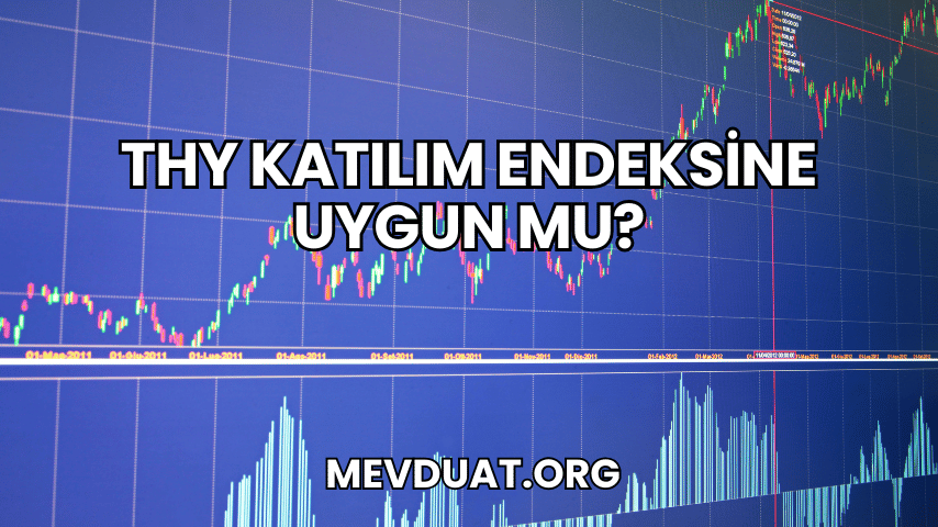 THY Katılım Endeksine Uygun mu?