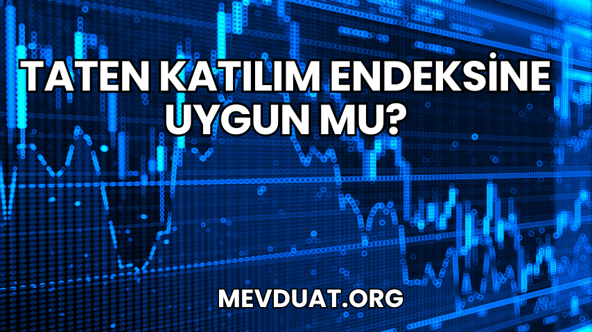 Taten Katılım Endeksine Uygun mu?