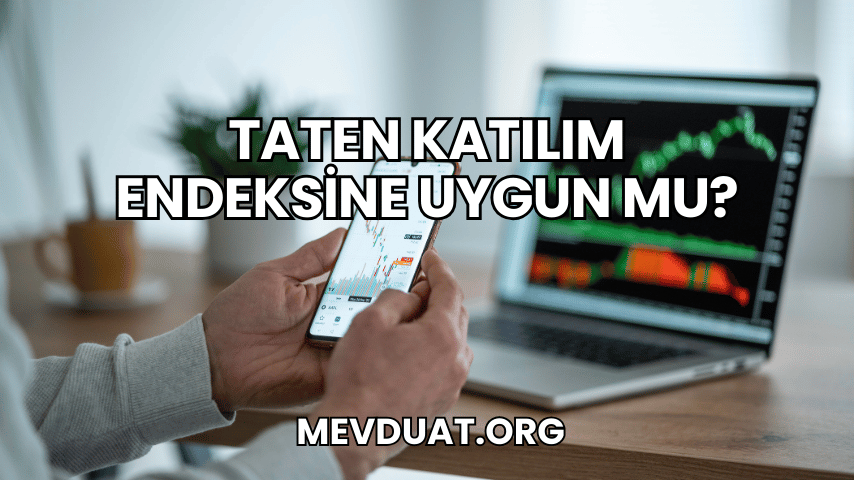 Taten Katılım Endeksine Uygun mu?