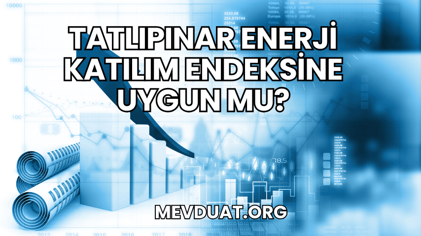 Tatlıpınar Enerji Katılım Endeksine Uygun mu?