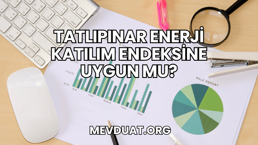 Tatlıpınar Enerji Katılım Endeksine Uygun mu?