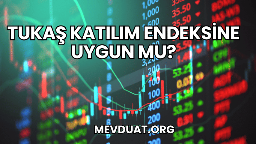 Tukaş Katılım Endeksine Uygun mu?