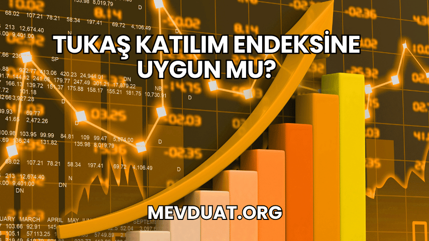 Tukaş Katılım Endeksine Uygun mu?