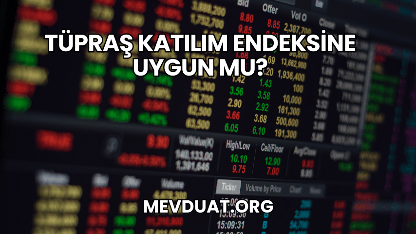 Tüpraş Katılım Endeksine Uygun mu?